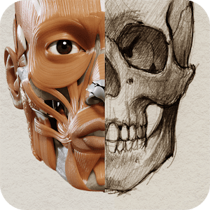 예술가용 3D 해부학 (잠금 해제) 1.2.7.1 1 3D Anatomy for the Artist