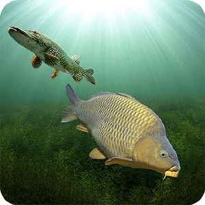3DCARP 10.6 1 3DCARP Logo