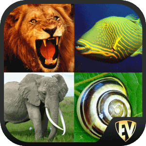 Animal Encyclopedia Complete Reference Guide Free - 동물 백과사전 완벽 참조 가이드 무료 1.1.3 1 Animal Encyclopedia Complete Reference Guide Free Logo