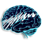 Brain Waves Binaural Beats
