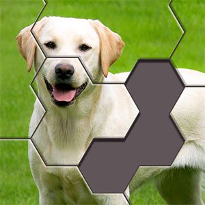 Hexa Jigsaw Puzzle ® - 헥사 직소 퍼즐 ® 64.01 버그판 1 Hexa Jigsaw Puzzle Logo b