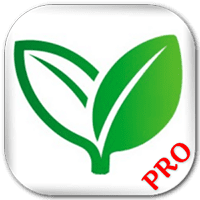 Home Remedies (Pro) - 홈 레메디 (프로) (프로) 1.5 1 Home Remedies