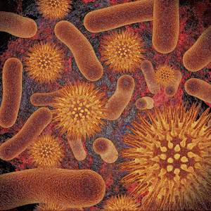 Infectious Disease Compendium - 감염병 백과사전 39.03.01 1 Infectious Disease Compendium
