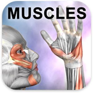 Learn Muscles: Anatomy - 근육 배우기: 해부학 (잠금 해제) 1.6.0 1 Learn Muscles
