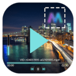 Logo Remover For Video