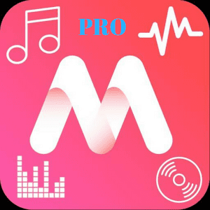 Offline Music Player- Weezer - 오프라인 음악 플레이어 - 위저 (VIP) 3.4.3 1 Mp3 Music Lyrics Player Offline Pro Lyrics Display