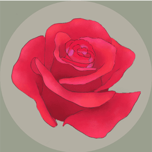 Rosa's Garden - 로사의 정원 3.0 1 Rosas Garden Logo