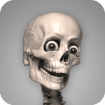 Skelly