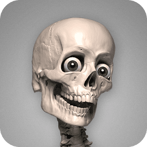 Skelly: Poseable Anatomy Model - 스켈리: 포즈 가능한 해부학 모델 1.12 버그판 1 Skelly