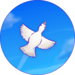 Skyward Journey Logo