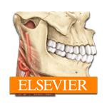 Sobotta Anatomy Atlas Logo