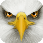 Ultimate Bird Simulator Logo