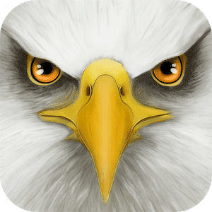 Ultimate Bird Simulator - 궁극의 새 시뮬레이터 1.3 1 Ultimate Bird Simulator Logo