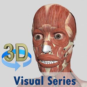3D Anatomy - 3D 해부학 6.8 1 Visual Muscles 3D