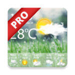 Weather Pro Weather Real time Forecast