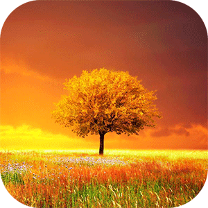 Awesome-Land Pro Live wallpaper - 어썸랜드 프로 라이브 월페이퍼 (프로) 3.1.3 1 unnamed 110