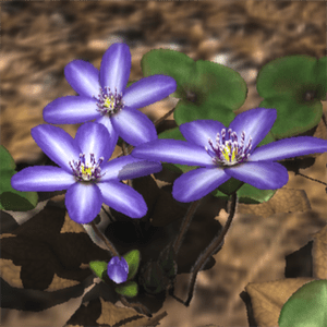 Yukiwarisou 3D Live Wallpaper Pro - 유키와리소우 3D 라이브 월페이퍼 프로 (프로) 1.41 1 unnamed 48