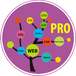 Learn Web Development Pro - 웹 개발 전문가 배우기 (프로) 1.8 1 unnamed 741