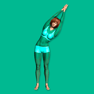 Warmup exercises - flexibility training - 워밍업 운동 - 유연성 훈련 2.2.2 1 warmup exercises flexibility training 6