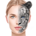 avatars masks and effects funny face changer