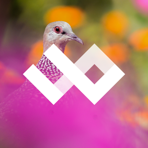 WildPapers Wildlife Photos - 와일드페이퍼스 야생동물 사진 1.0.2 1 WildPapers Wildlife Photography Wallpapers
