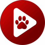 bear player logo