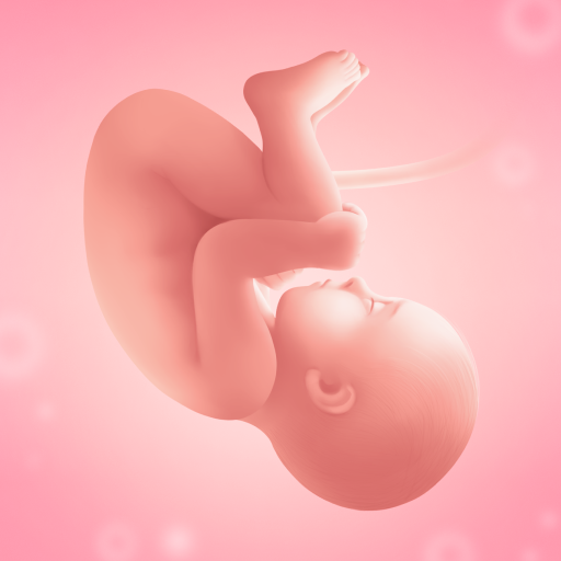 임신 주수 계산 & 기록: 맘스다이어리 (프리미엄) 3.135.1 1 pregnancy tracker logo