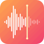 voice recorder logo