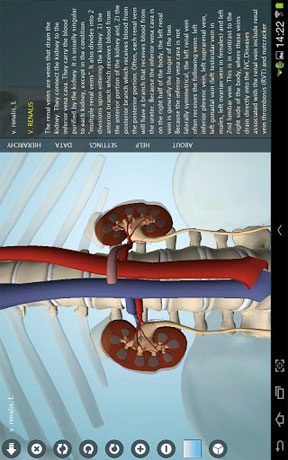 Anatomy 3D Pro – Anatronica – 아나토로니카 3D 프로 (프로) 2.07 1