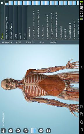 Anatomy 3D Pro – Anatronica – 아나토로니카 3D 프로 (프로) 2.07 2