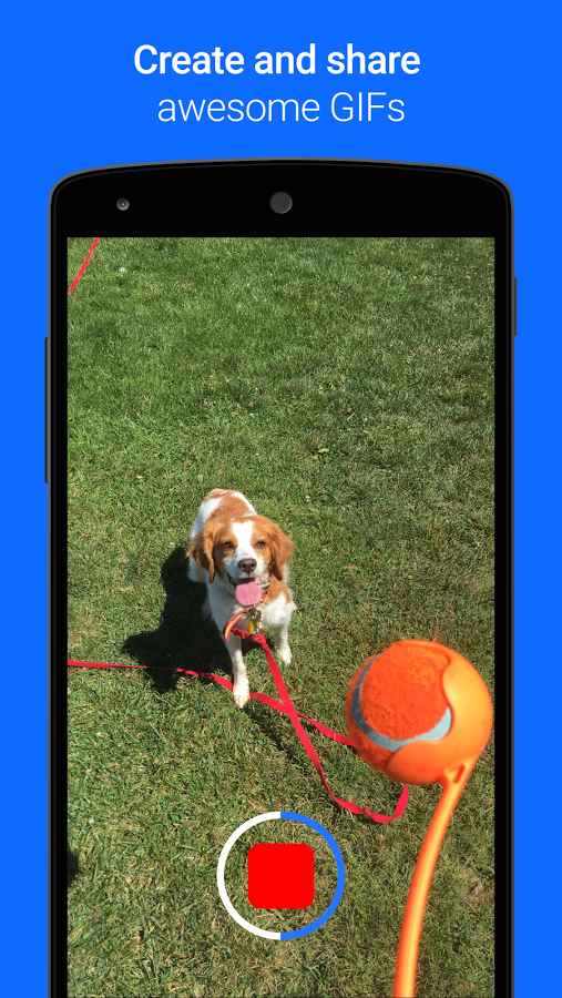 Gfycat Loops: GIF Cam+Recorder – 지피캣 루프: GIF 캠+레코더 0.2.27 7