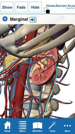 Human Anatomy Atlas – 인체 해부학 아틀라스 (풀) 7.4.03 2