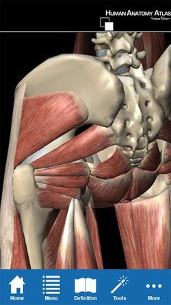 Human Anatomy Atlas – 인체 해부학 아틀라스 (풀) 7.4.03 3
