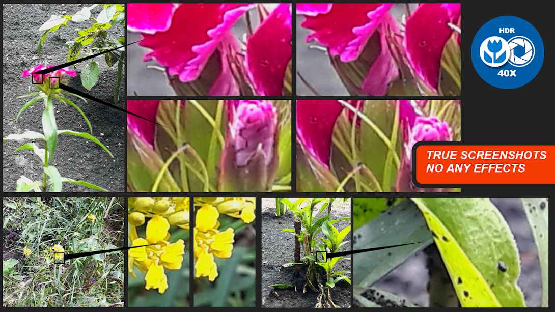 Macro Photography Camera. Live 40x Zoom – 매크로 사진 카메라. 라이브 40배 줌 (프로) 2.2.4 3