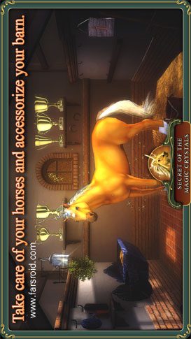 Secret of the Magic Crystals – 마법 수정의 비밀 1.016 3