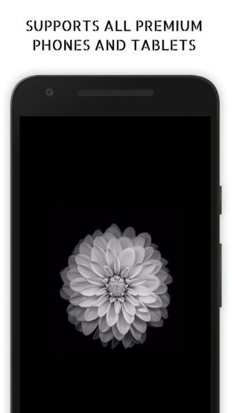 Super AMOLED Wallpapers PRO – 슈퍼 AMOLED 배경화면 PRO (프로) 5.6 3