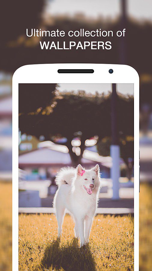 Wallpin HD Wallpapers Pro – 월핀 HD 배경화면 프로 (프로) 1.0.4 7