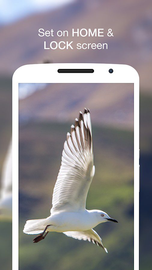 Wallpin HD Wallpapers Pro – 월핀 HD 배경화면 프로 (프로) 1.0.4 6