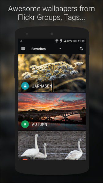Wallz: Wallpaper APP – 월즈: 배경화면 앱 1.5.2 1