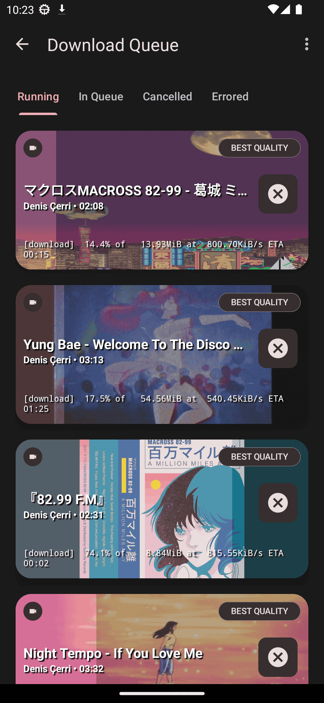 YTDLnis 1.8.4.1 3