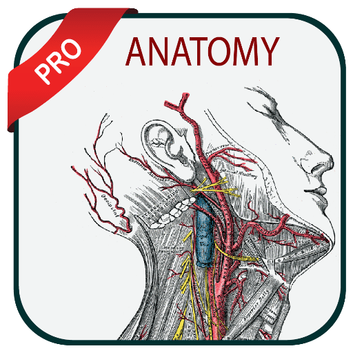 grays atlas of anatomy pro logo