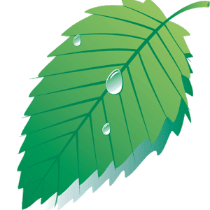 Hibernate FULL - 하이버네이트 풀 (풀) 6.0 1 hibernate full android logo