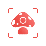 picture mushroom mushroom id logo